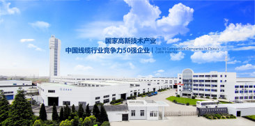 浙江晨光电缆股份有限公司｜网站建设